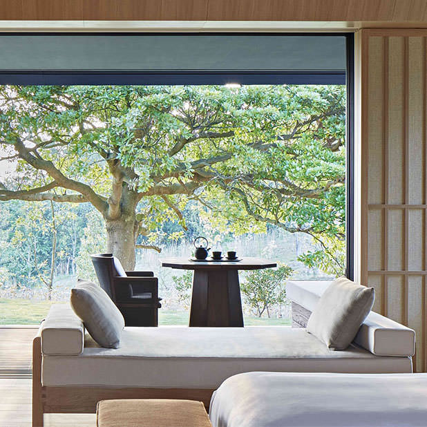 Amanemu