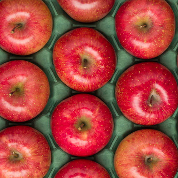 applefarm samizu