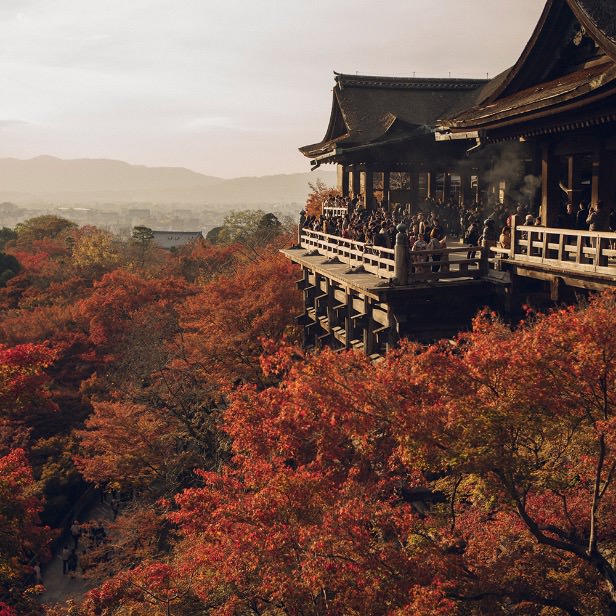 Feel Kiyomizu