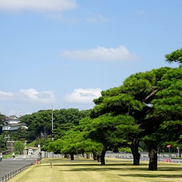 Imperial palace
