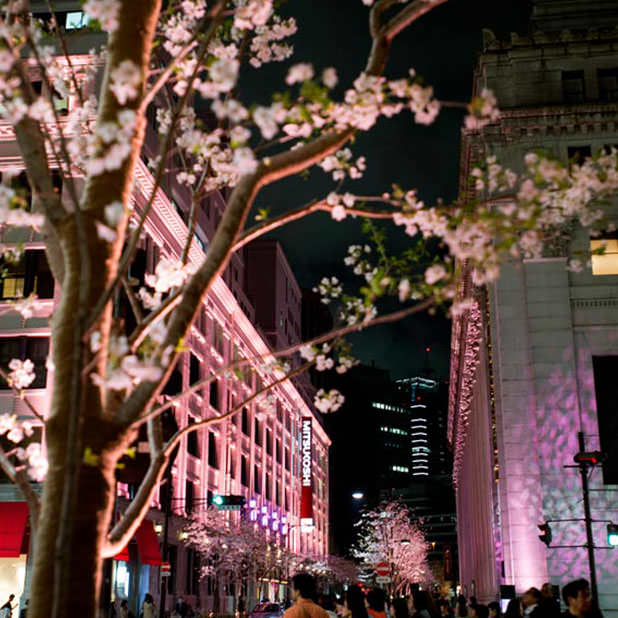 Into Japan