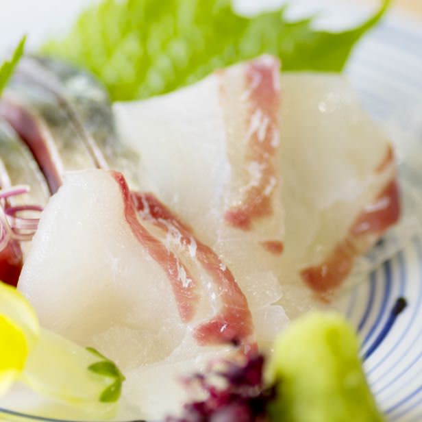 Kyoto Shiki