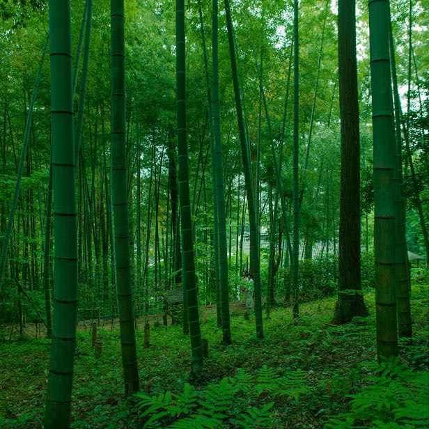 Wakura Dukushi