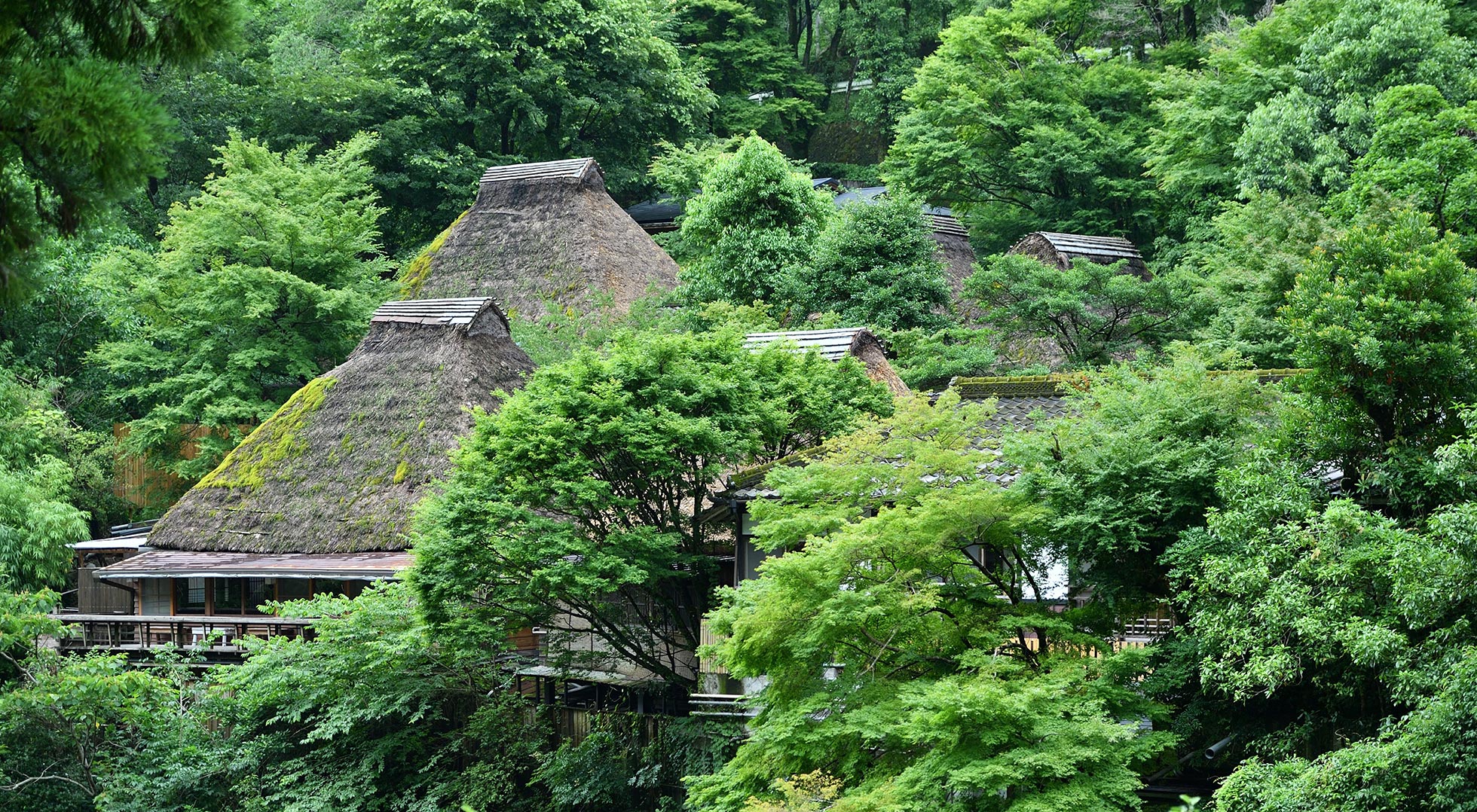 House | STORIES | JAPAN HOUSE