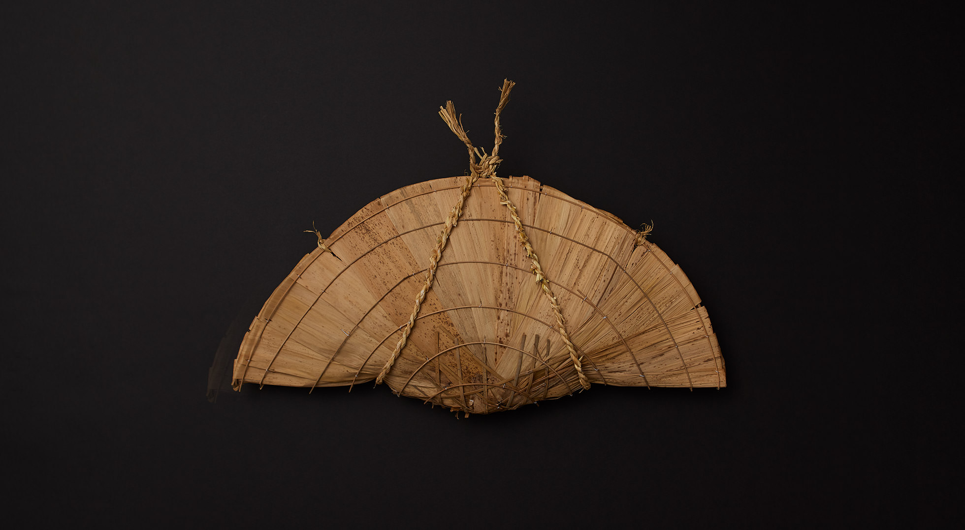 Taiso | Sosei Hamayaki-sakuradai