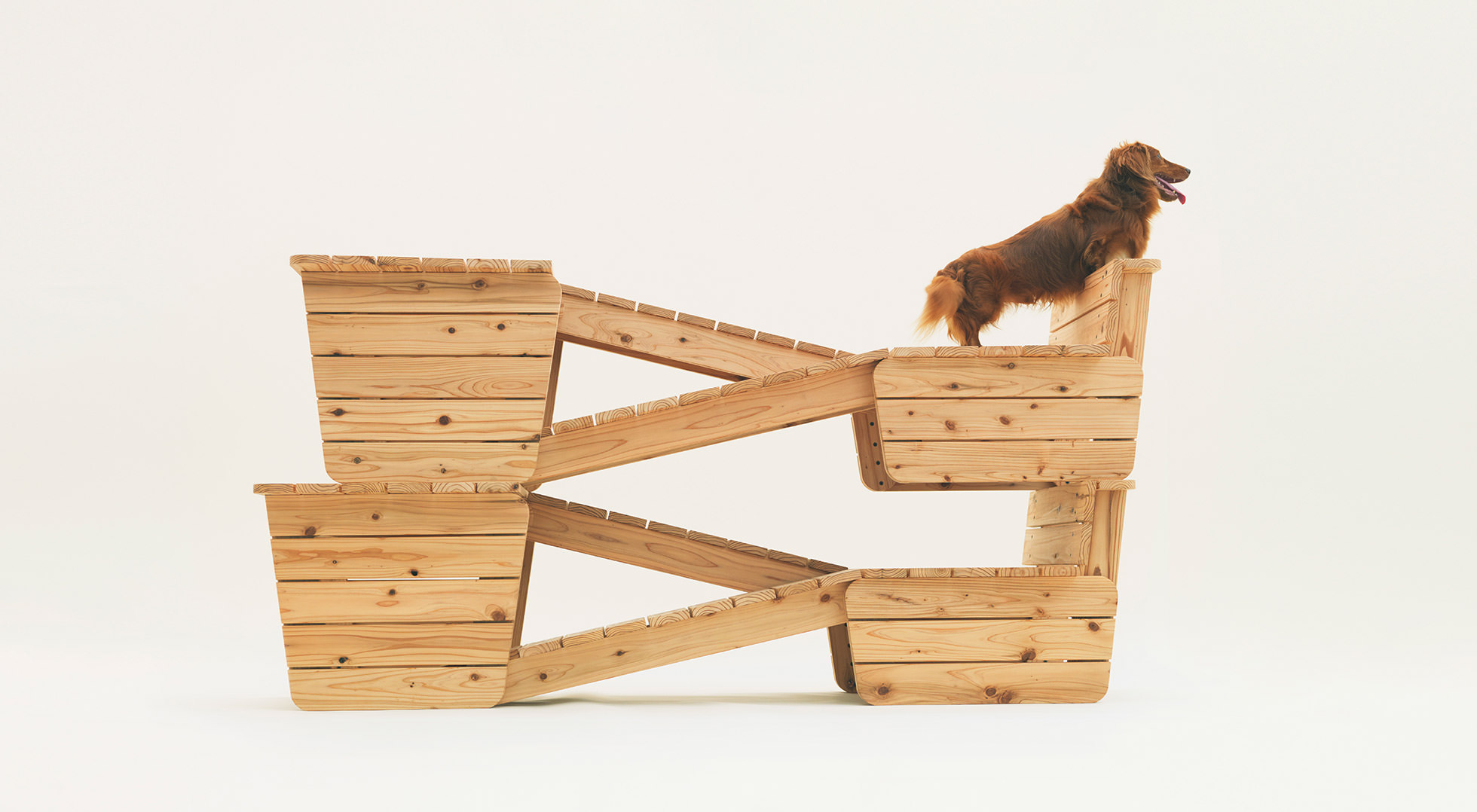 ARCHITECTURE FOR LONG-BODIED-SHORT-LEGGED DOG|ATELIER BOW-WOW