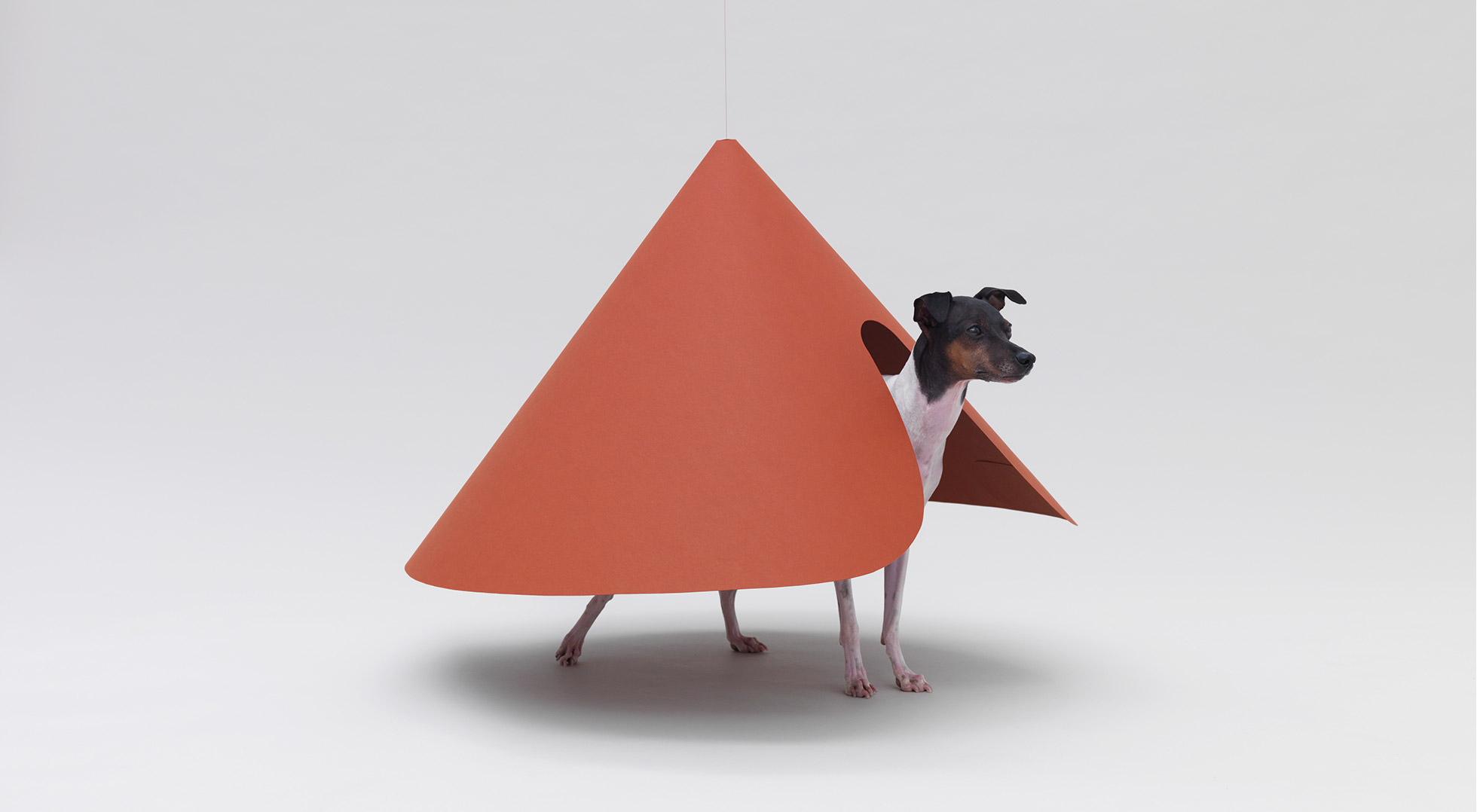 POINTED T|HARA DESIGN INSTITUTE