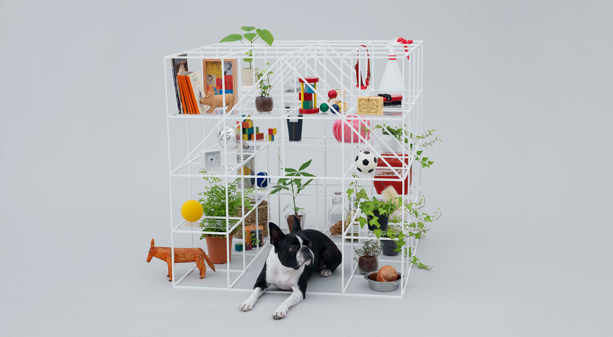 NO DOG, NO LIFE!|SOU FUJIMOTO