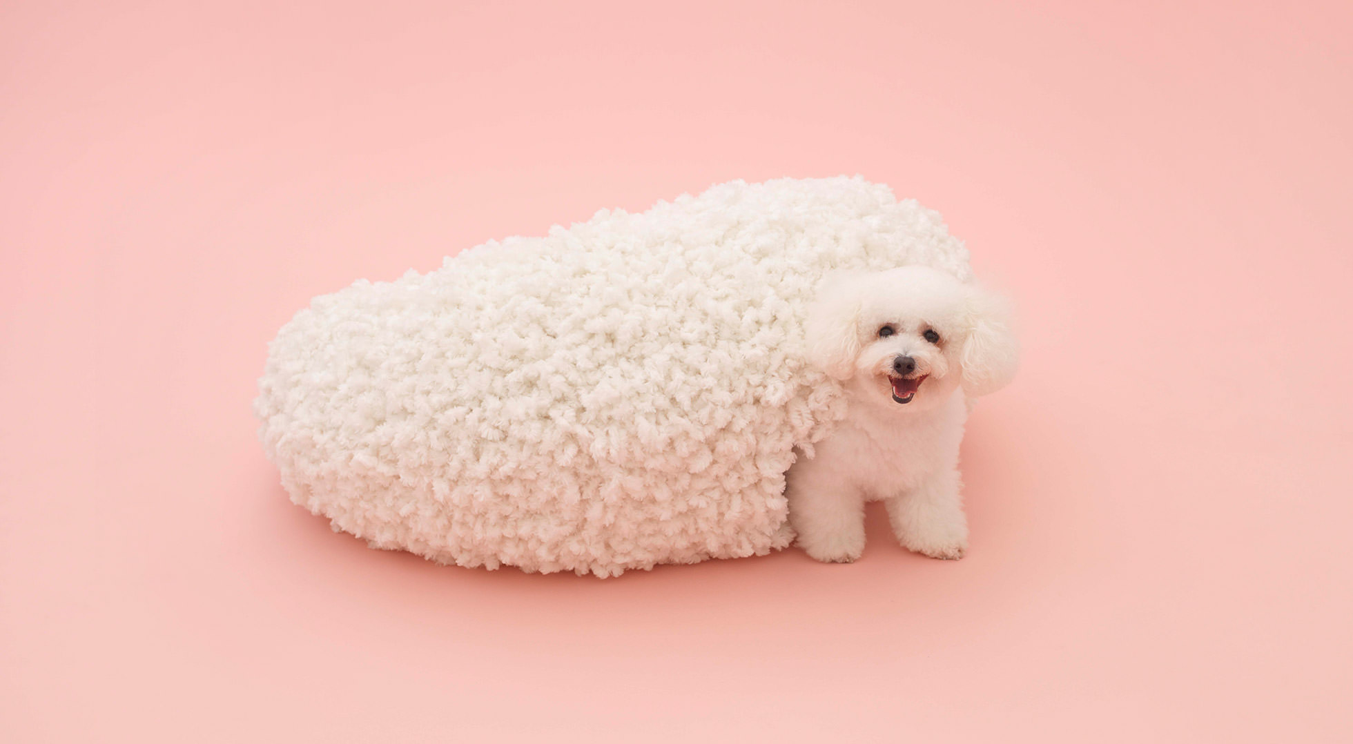 ARCHITECTURE FOR THE BICHON FRISE|KAZUYO SEJIMA