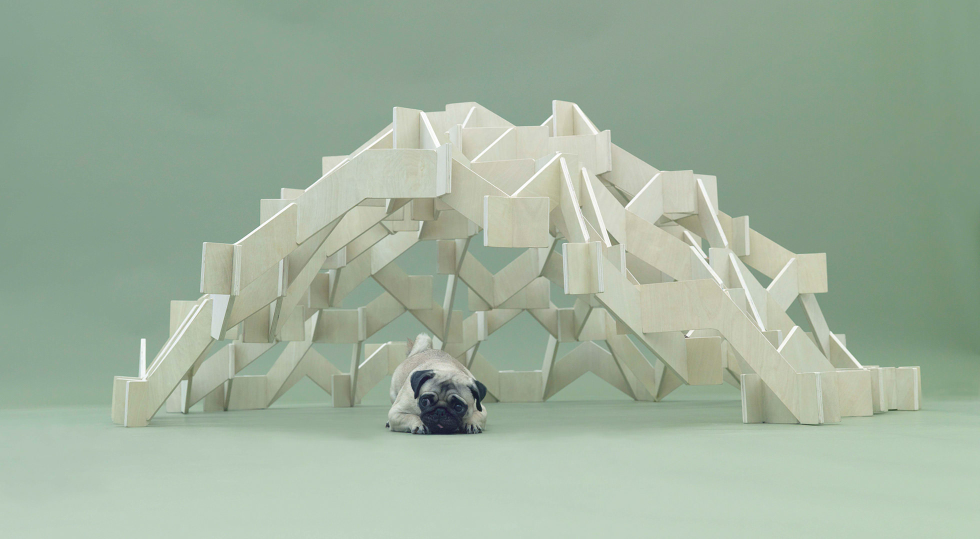 MOUNT PUG|KENGO KUMA