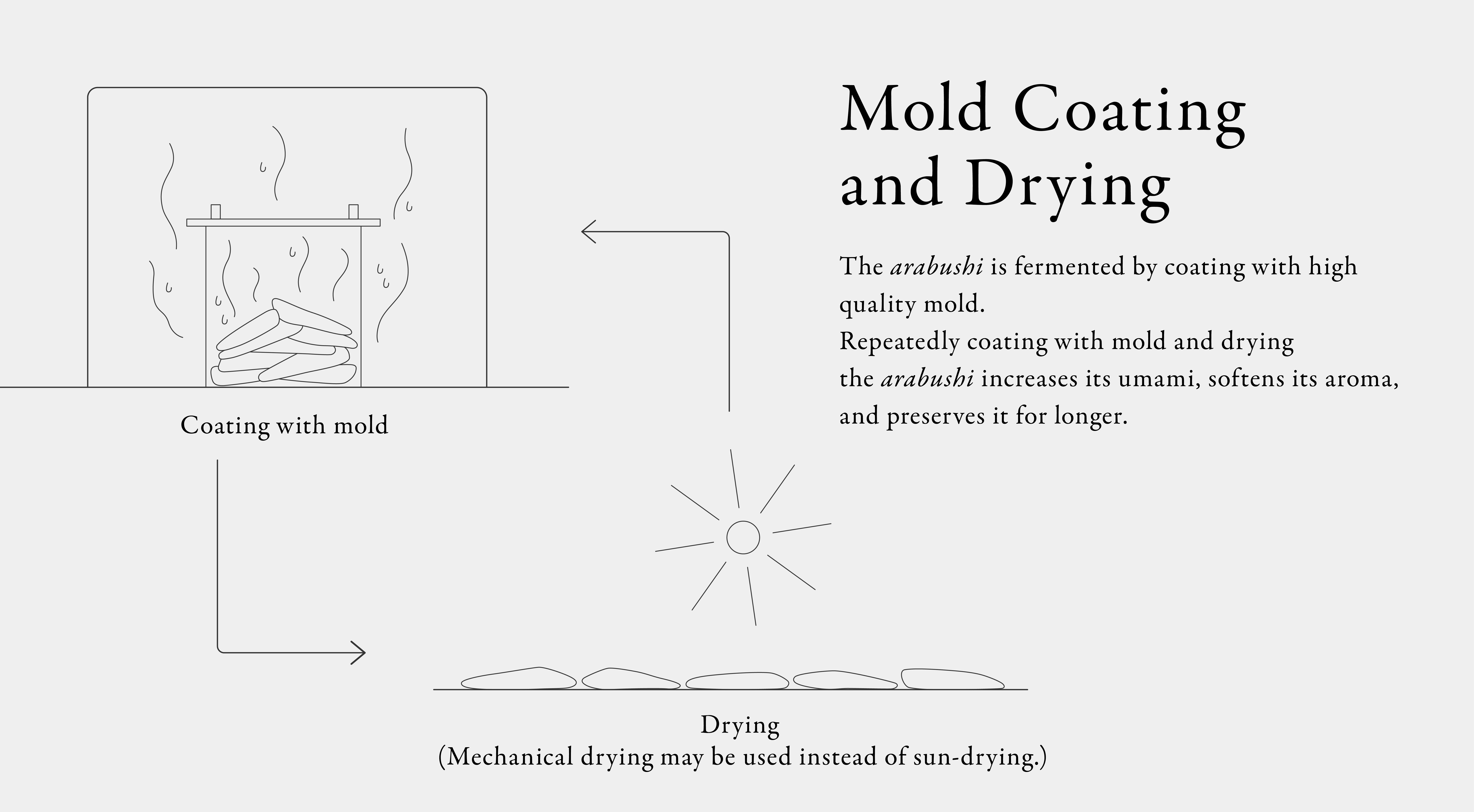 Mold Coating and Drying