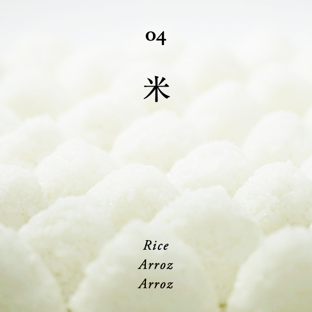 米 / Rice / Arroz / Arroz