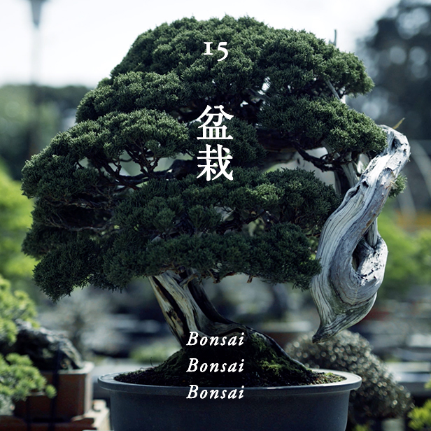 陶磁器 / Ceramic / Cerámica / Cerámica