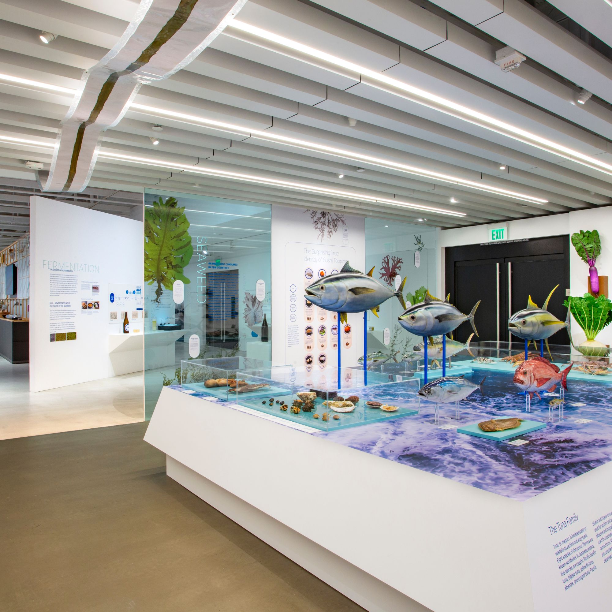 『WASHOKU | Nature and Culture in Japanese Cuisine』展
