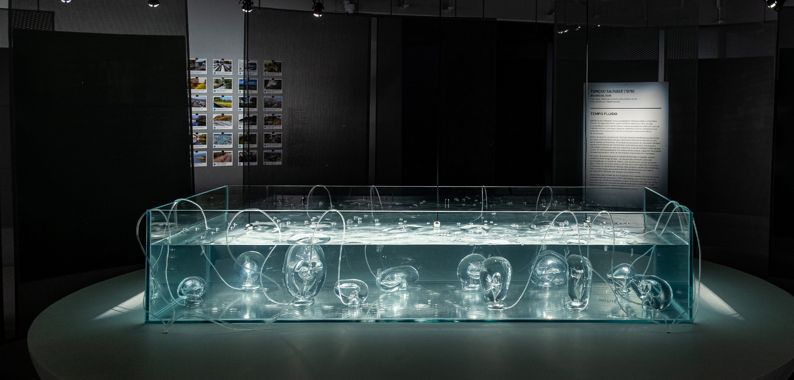 Flows – Japan and the water