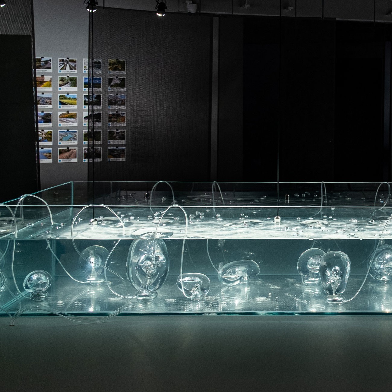 Flows – Japan and the water